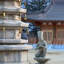 범어사 성보박물관(휴관) | 평창 오대산 월정사 전나무숲길 석탑 성보박물관