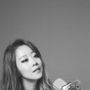 콩닭콩닭 이미지