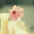 혜민식당 이미지