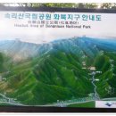 솔뫼골식당 이미지