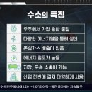 수소쌤