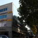 골드 참치 이미지