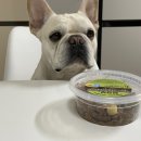 브라보 마이펫 이미지