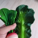 Carol | “치발기의 에르메스” Oli &amp; Carol 올리앤캐롤 순무 케일 내돈내산 후기｜직접 써본 솔직 리뷰