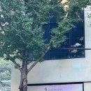 수 필라테스 2호점 네이버블로그