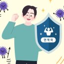 하타요가 이미지