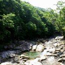 뱀사골민박 이미지