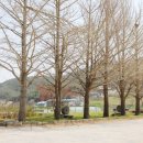 소라초등학교소라남분교장 이미지