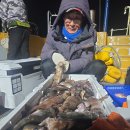 [뉴한사리]3월30일철수 밤볼락(왕사미) 조황 이미지