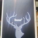 부크(BUUC) 이미지