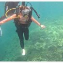 섬과 하루 이미지