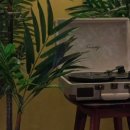 스테이더몽 이미지