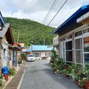 임회면 십일시장 이미지