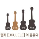 우쿨렐레 이미지