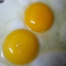 숲에서 온 유정란 이미지