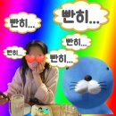[오키나와]Day 2|블루씰, 소금샌드 그리고 푸른 동굴의 우리들
