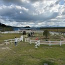 악양 승마장 이미지