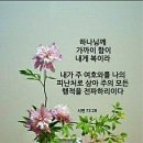 샬롬 이미지