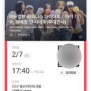 [~2월 2주] 눈 펑팡 까치까치 설날부터 뽈뽈 돌아다닌 2월 초 ⍩♪