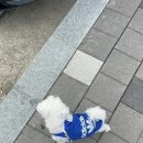 성성11길32 네이버블로그