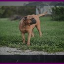 호미곶관광단지 이미지