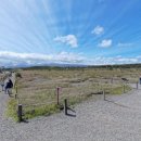 화산당농장 | 하와이화산국립공원 빅아일랜드 투어 코나커피 블랙샌드 비치 화산