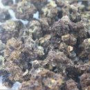 충영농장 이미지