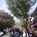 뱅뱅 홍성 이미지