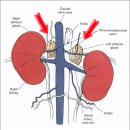 이:은동물병원 이미지