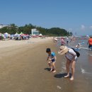 율포해수욕장 이미지