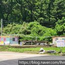 때뿌루민박 이미지