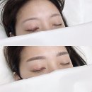 눈썹이날개다 이미지