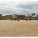 홍성초등학교 Daum카페