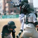 천안남산초등학교 이미지