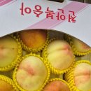 복숭아 마감 이미지