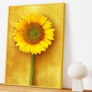 해바라기 하나 | 해바라기 그림 액자 금전운 사업 재물운 합격 캔버스 상세 후기 품격 인테리어