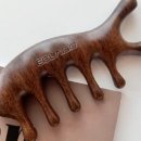 에끌라두 이미지