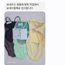 [수영복 사이즈수선] 신철수선 후그 퍼니베리 수선 후기 28 -> 26 수영복 사이즈줄임