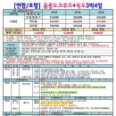 늘푸른여행사