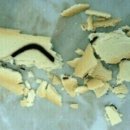 대전종합 동물병원 이미지