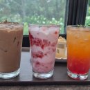 오렌지정원 | [경기도/양주] 도심에서 자연을 느낄 수 있는 오랑주리 (Orangerie) 카페 내돈내산 후기