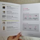 파데프리 뜻 실현! 뷰티영 오광채 톤업로 자연스러운 광채피부 후기