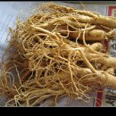 금산농원 이미지