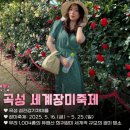 장미로 물드는 하루 이미지