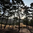 시간을 나는 드론 (5)