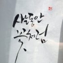 사는동안꽃처럼 이미지