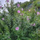 방아실낚시터 이미지