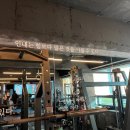 올데이PT 이미지