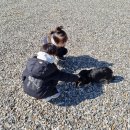 고릴라펜션 | 가평 펜션 &amp; 캠핑장 고릴라펜션 아이들과 찐 후기