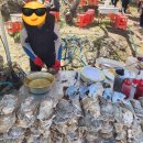 군청앞버스승강장 | 2026 광양 매화축제 뚜벅이 기차 타고 광양매화축제 방문 후기 꿀팁(물금역에서 하동역)